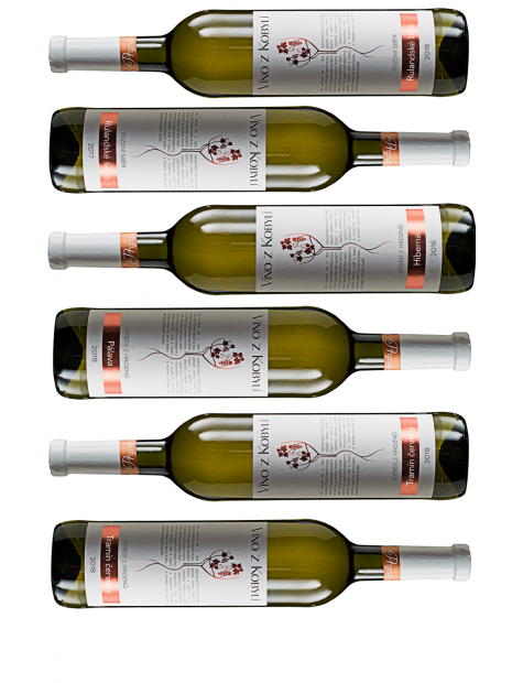 Degustační sada vín I 